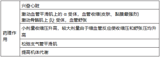 17407257606623300909.png image.png