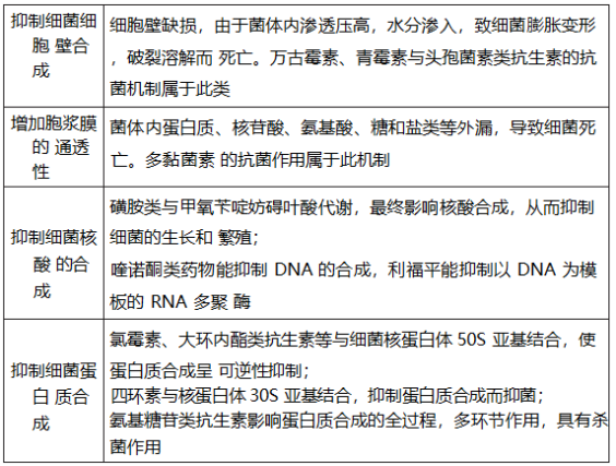 17407259763917979367.png image.png