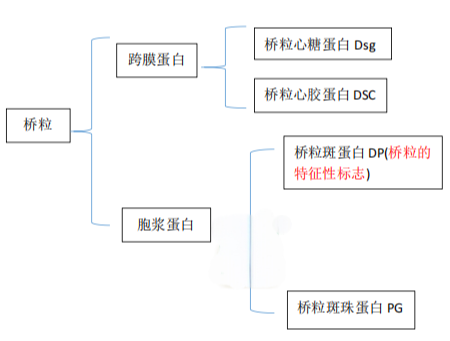 17437281649580512209.png image.png