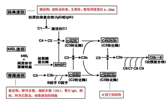 17437288382043814816.png image.png