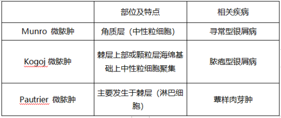 17437291907815215519.png image.png