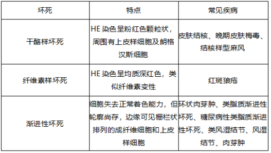 17437292092979995300.png image.png