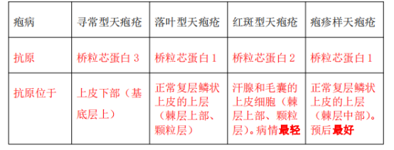 17437302499593892662.png image.png