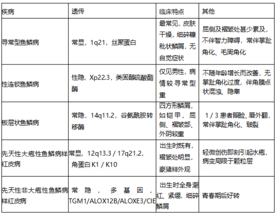 17437318267376139353.png image.png