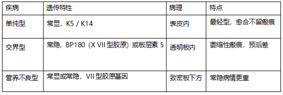 17437320868127819206.png image.png