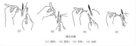 17503038159824008532.png image.png