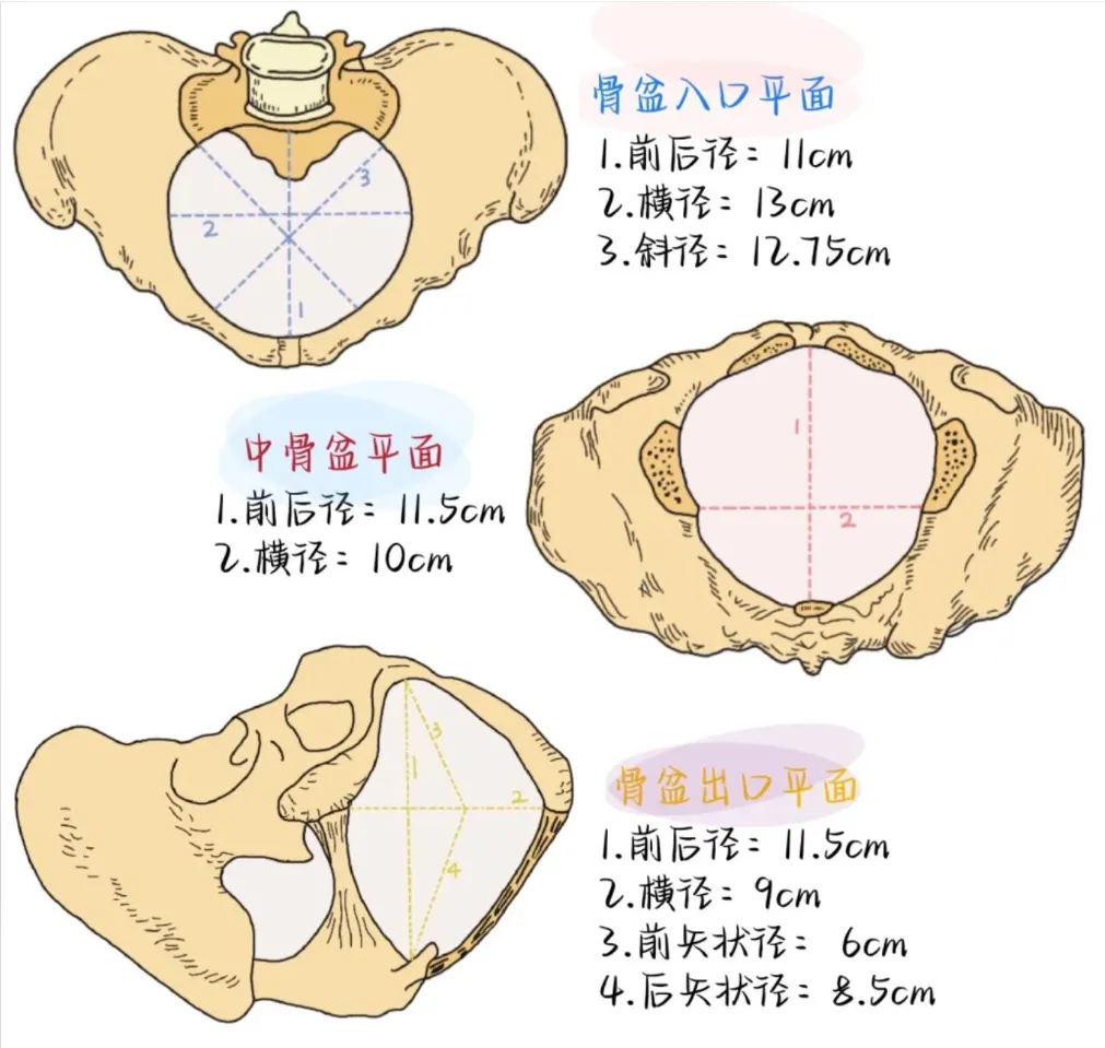 17623276773727640581.png@!webp