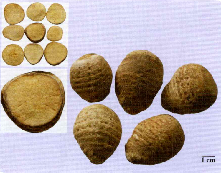 a0b9e8f29d34a9ab09cdce13e25cea15.png