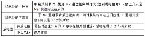 17407078249792651333.png image.png