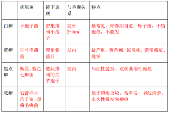 17437298012329846889.png image.png