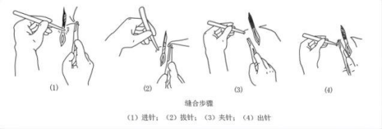 17502320344381432514.png image.png