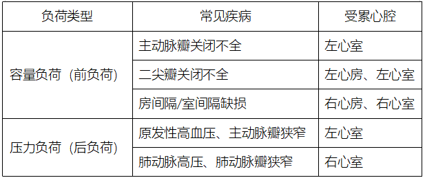 局部截取_20251220_144612.png